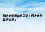 佣金比例是啥意思呀（佣金比例是啥意思）
