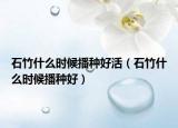 石竹什么时候播种好活（石竹什么时候播种好）