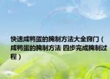 快速咸鸭蛋的腌制方法大全窍门（咸鸭蛋的腌制方法 四步完成腌制过程）