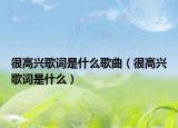 很高兴歌词是什么歌曲（很高兴歌词是什么）