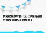 梦到蛇是意味着什么（梦见蛇是什么意思 梦里见蛇的寓意）