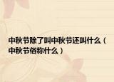 中秋节除了叫中秋节还叫什么（中秋节俗称什么）