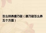 怎么样养康乃馨（康乃馨怎么养 五个方面）