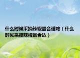 什么时候采摘辣椒最合适吃（什么时候采摘辣椒最合适）