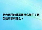 无色无种的翡翠是什么样子（无色翡翠都有什么）