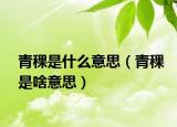 青稞是什么意思（青稞是啥意思）