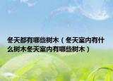 冬天都有哪些树木（冬天室内有什么树木冬天室内有哪些树木）
