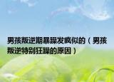 男孩叛逆期暴躁发疯似的（男孩叛逆特别狂躁的原因）