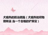 犬瘟热的防治措施（犬瘟热如何物理降温 当一个合格的铲屎官）