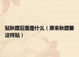 贴秋膘后面是什么（原来秋膘要这样贴）