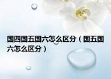 国四国五国六怎么区分（国五国六怎么区分）