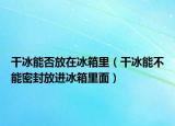干冰能否放在冰箱里（干冰能不能密封放进冰箱里面）