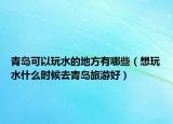青岛可以玩水的地方有哪些（想玩水什么时候去青岛旅游好）