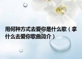 用何种方式去爱你是什么歌（拿什么去爱你歌曲简介）