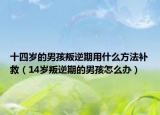十四岁的男孩叛逆期用什么方法补救（14岁叛逆期的男孩怎么办）