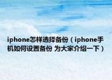iphone怎样选择备份（iphone手机如何设置备份 为大家介绍一下）