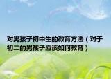 对男孩子初中生的教育方法（对于初二的男孩子应该如何教育）