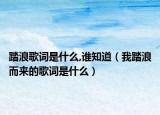 踏浪歌词是什么,谁知道（我踏浪而来的歌词是什么）