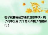 栀子花的养殖方法和注意事项（栀子花怎么养 六个冬天养栀子花的窍门）