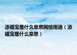 添福宝是什么意思网络用语（添福宝是什么意思）