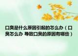 口臭是什么原因引起的怎么办（口臭怎么办 导致口臭的原因有哪些）