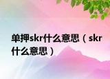 单押skr什么意思（skr什么意思）
