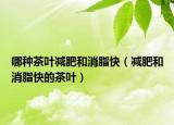 哪种茶叶减肥和消脂快（减肥和消脂快的茶叶）