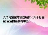 六个月宝宝吃哪些辅食（六个月宝宝 宝宝的辅食有哪些）