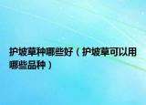 护坡草种哪些好（护坡草可以用哪些品种）