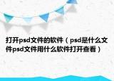 打开psd文件的软件（psd是什么文件psd文件用什么软件打开查看）