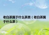 老白茶属于什么茶类（老白茶属于什么茶）