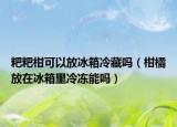 粑粑柑可以放冰箱冷藏吗（柑橘放在冰箱里冷冻能吗）