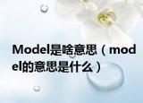 Model是啥意思（model的意思是什么）