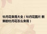 牡丹花食用大全（牡丹花图片 新鲜的牡丹花怎么食用）