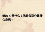 佛教 心是什么（佛教分别心是什么意思）