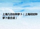 上海几月份种萝卜（上海何时种萝卜最合适）
