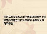 杜鹃花的养殖方法和注意事项有哪些（杜鹃花的养殖方法和注意事项 希望对大家有所帮助）
