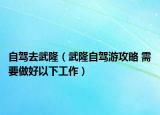 自驾去武隆（武隆自驾游攻略 需要做好以下工作）