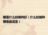睡莲什么时候种好（什么时候种睡莲最适宜）