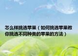 怎么样挑选苹果（如何挑选苹果教你挑选不同种类的苹果的方法）