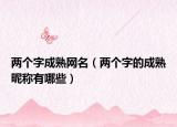 两个字成熟网名（两个字的成熟昵称有哪些）
