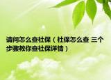 请问怎么查社保（社保怎么查 三个步骤教你查社保详情）