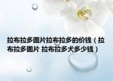 拉布拉多图片拉布拉多的价钱（拉布拉多图片 拉布拉多犬多少钱）