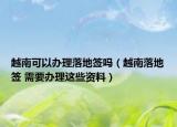 越南可以办理落地签吗（越南落地签 需要办理这些资料）