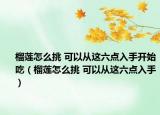 榴莲怎么挑 可以从这六点入手开始吃（榴莲怎么挑 可以从这六点入手）