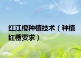 红江橙种植技术（种植红橙要求）
