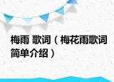 梅雨 歌词（梅花雨歌词简单介绍）