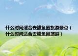 什么时间适合去鲅鱼圈旅游景点（什么时间适合去鲅鱼圈旅游）