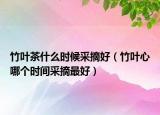 竹叶茶什么时候采摘好（竹叶心哪个时间采摘最好）