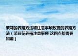茉莉的养殖方法和注意事项玫瑰的养殖方法（茉莉花养殖注意事项 这四点都需要知道）